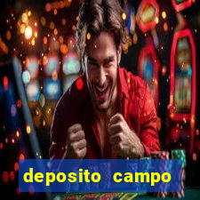 deposito campo grande santos